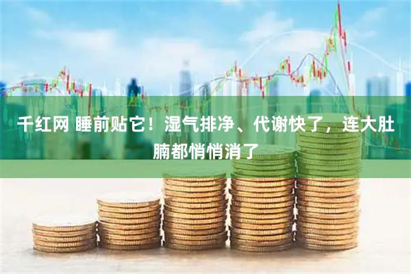 千红网 睡前贴它！湿气排净、代谢快了，连大肚腩都悄悄消了