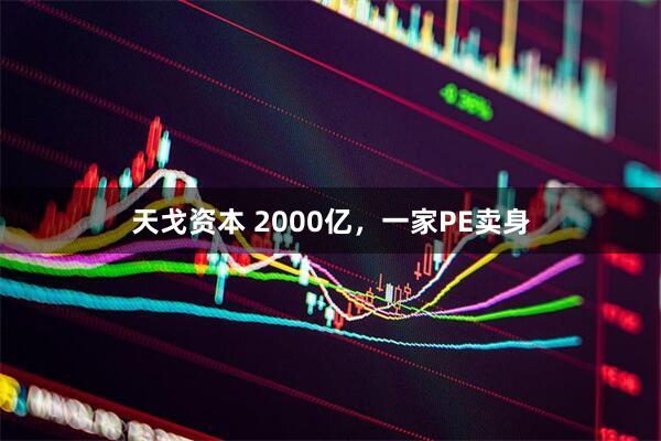 天戈资本 2000亿，一家PE卖身