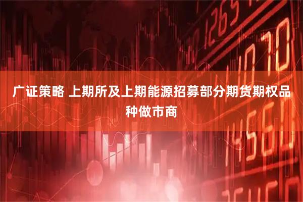 广证策略 上期所及上期能源招募部分期货期权品种做市商