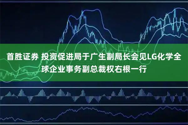 首胜证券 投资促进局于广生副局长会见LG化学全球企业事务副总裁权右根一行