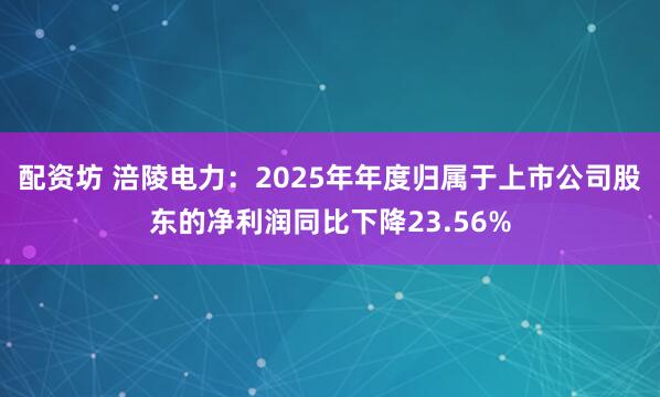 配资坊 涪陵电力：2025年年度归属于上市公司股东的净利润同比下降23.56%