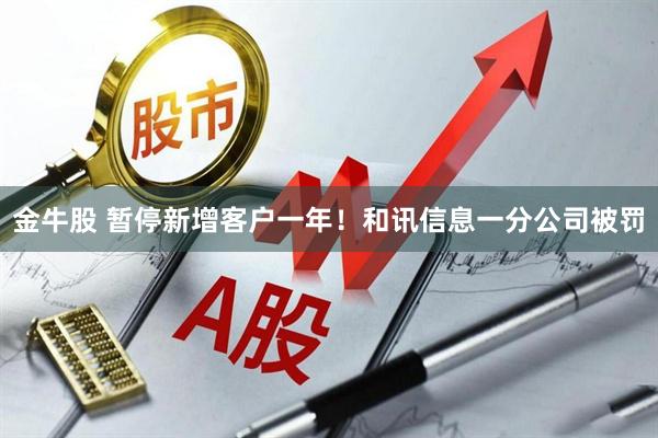金牛股 暂停新增客户一年！和讯信息一分公司被罚