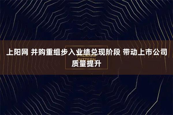 上阳网 并购重组步入业绩兑现阶段 带动上市公司质量提升
