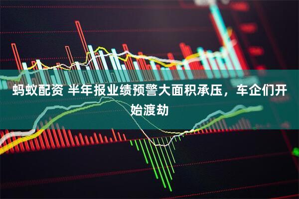 蚂蚁配资 半年报业绩预警大面积承压，车企们开始渡劫