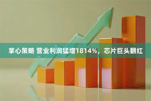 掌心策略 营业利润猛增1814%，芯片巨头翻红